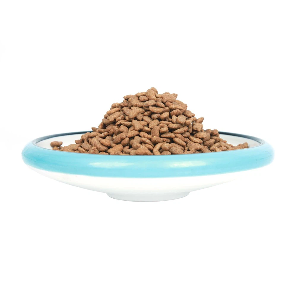Supplier Of High-Grade Cat Food With Protein